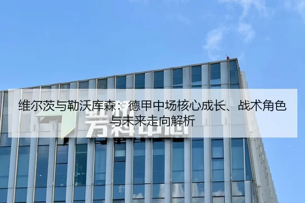 wei-er-ci-yu-lei-wo-ku-sen-de-jia-zhong-chang-he-xin-cheng-zhang-zhan-shu-jue-se-yu-wei-lai-zou-xiang-jie-xi-1-534.jpg
