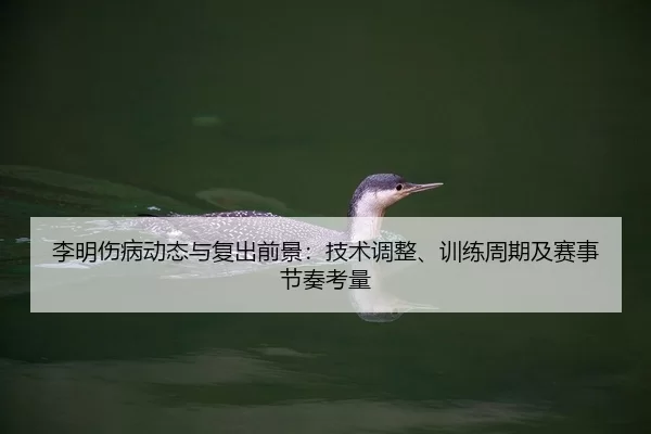 li-ming-shang-bing-dong-tai-yu-fu-chu-qian-jing-ji-shu-tiao-zheng-xun-lian-zhou-qi-ji-sai-shi-jie-zou-kao-liang-2-197.jpg